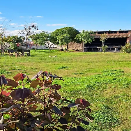 Kalma Apartment Moncófar