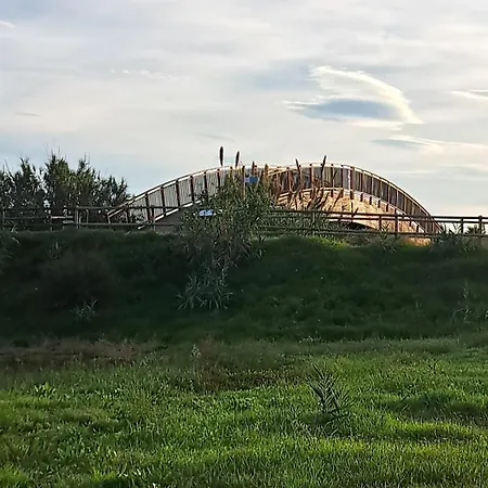 Apartment Kalma Moncófar