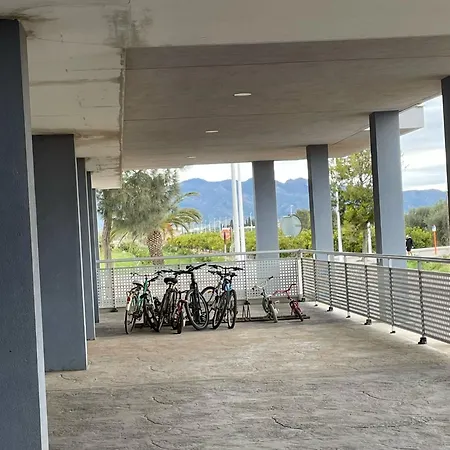Kalma * Moncófar