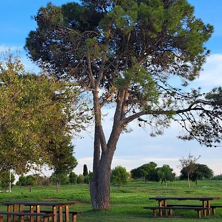 Kalma Διαμέρισμα Moncófar