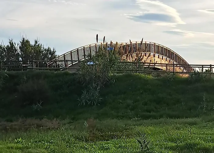 Appartement Kalma Moncófar